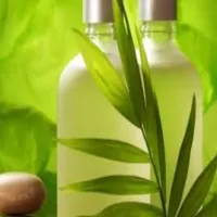 مواد غذایی اورگانیک