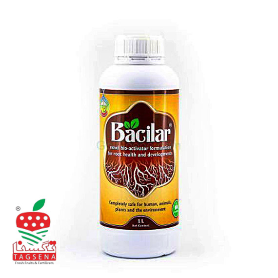 کود ریشه زا باسیلار ردسا