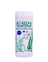 جلبک دریایی سی کلپ